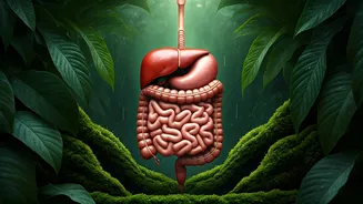 Gut Health Has Entered The Monsoon Chat