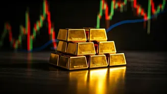 Investment Insights: Navigating Market Changes