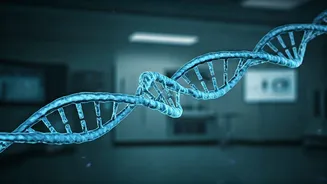 Bone Marrow Transplants: A New Dawn for Genetic Blood Disorders in India