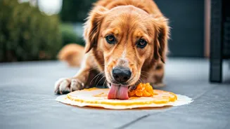 This Frozen Pumpkin Mat Trick Keeps Active Dogs Happy