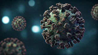 Cicada's Sting: Navigating COVID-19's BA.3.2 Subvariant Amidst Mutations