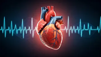 Unlock Heart Health: Essential Sleep Hygiene Habits for a Stronger Cardiovascular System