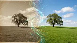 AI photo enhancement: How plugins upscale resolution and sharpen soft focus points on old family snapshots