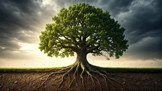 Related Stories banner