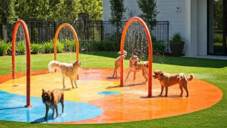 Pet Resorts With Miniature Splash Playgrounds Score High Bookings