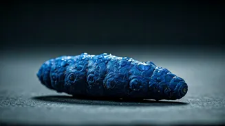 Beyond the Golden Glow: Discovering India's Rare Blue Turmeric and Its Medicinal Secrets