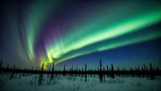 Chase the Aurora: Your Guide to Seeing the Northern Lights in Fairbanks, Alaska