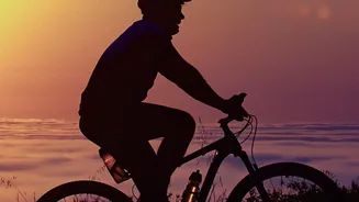 Cycling and Tai Chi Offer Active and Gentle Paths to Relaxation