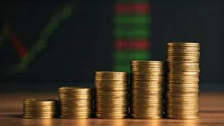 9 Soaring Midcap Stocks: A Look Ahead to 2025