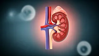 Guard Your Kidneys: Expert Advice on Prevention, Detection, and Lifestyle for a Cancer-Free Future