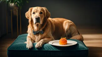Premium Routines Are The New Pet-Parent Flex