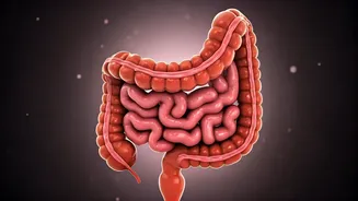 Monsoon Gut Health Needs Reader-Friendly Explainers