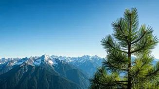 Mountain Air Is The New Travel Luxury