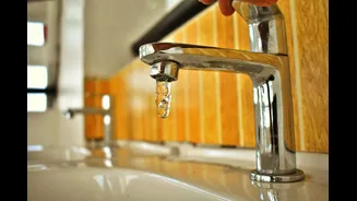 5 Simple Environmental Habits for Indian Homes