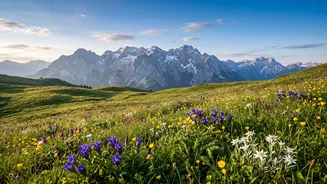 Finding Alpine Flower Meadows You Will Love While Hiking In Austria