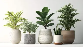DIY: How to create ceramic plant pots