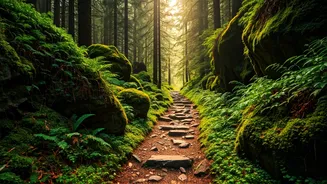 Young India Is Choosing Nature Close To Home