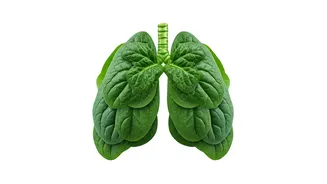 Eat These Foods for Healthy Lungs Today
