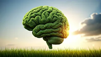 Understanding and Improving Mental Health: A Guide