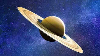 From Rings To Tiny Satellites: Understanding Saturn's 293-Moon System