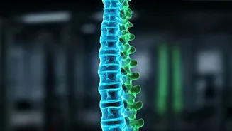 Gym Freaks Focus On Spinal Flexibility Over Heavy Powerlifting