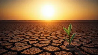 Heat Stress Has Entered The Group Chat