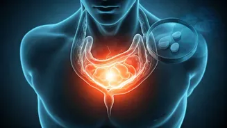 Heartburn Persists Despite Antacids? Harvard Doctor Uncovers Two Unexpected Culprits