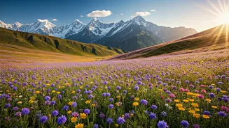 Trekkers Rush To Uttarakhand High Meadows Before Blossoming Ends