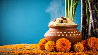 Pongal 2026: A Celebration of Harvest & Tradition