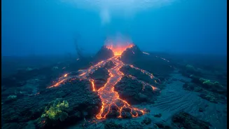 One ridge event cannot represent every plate boundary: a key limit for Indian Ocean Seafloor Spreading