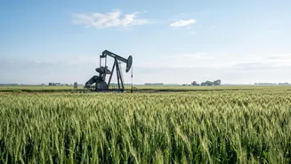 Oil Prices And Food Inflation: Why Energy Costs Matter Beyond Petrol Pumps