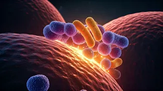 Related Stories banner