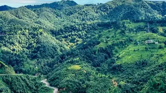Green Landscapes And Better Road Conditions Are Shaping Post-Monsoon Trips
