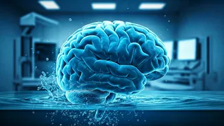 Brain's Night Shift: 6 Sleep Habits for Optimal Cleaning