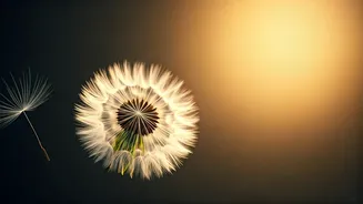 Byron Katie's Wisdom: Embrace Life's Flow – Everything Happens For You