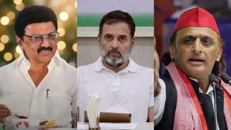 After Akhilesh, DMK to skip INDIA bloc meeting on SIR
