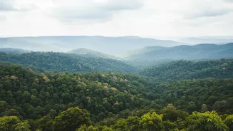 India's Forest Landscapes May Be Entering A New Climate Reality, Scientists Suggest
