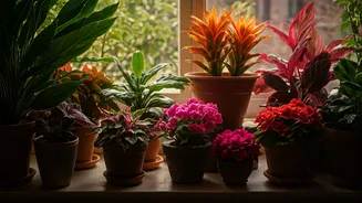 Bright Gardens Are Winning Over Plant Parents Now