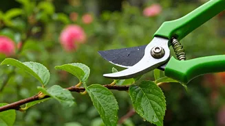 June Gardening Is All About Smart Pruning