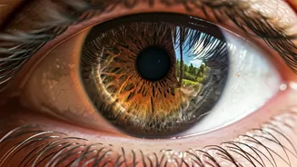 Control Your Senses: Learn From Bhagavad Gita