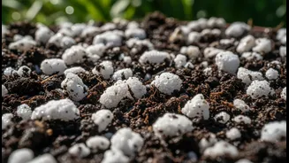 Why Proactive Gardeners Add Porous Perlite To Balcony Soil Prepping For Extended Monsoon Spells