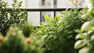 June Pruning Saves Balconies From Rainy Mess