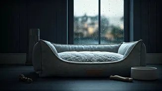 Quiet Luxury Pet Stays Rise During July Rains