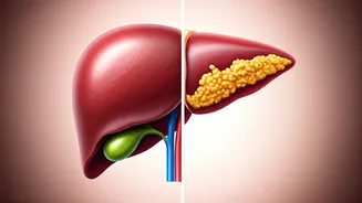 Understanding Pre-Diabetes and Fatty Liver: A Guide