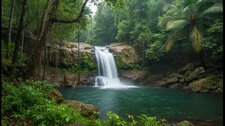 Why Skipping Saturated Coastal Strips For Goa Inland Forests Redefines Modern Rainy Season Vacations