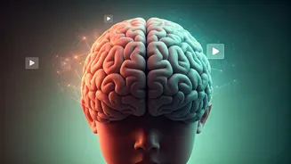 Unlocking Your Child's Mind: The Hidden Effects of Rapid-Fire Videos