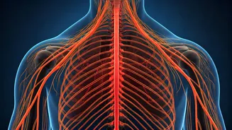 Unveiling CRPS: Archana Puran Singh's Condition & Reducing Risks