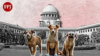 'Can't Read When Dog Is In Mood To Bite': Supreme Court While Hearing Stray Dogs Case