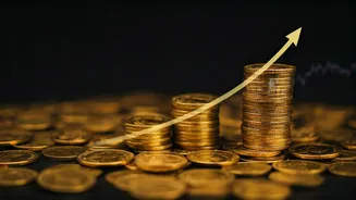 Indian Market's Recent Momentum: A Closer Look