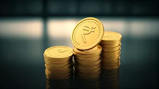 Indian Startups Secure Funding Amidst a Changing Landscape